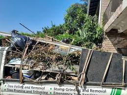 Best Scrap Metal Removal  in First Mesa, AZ